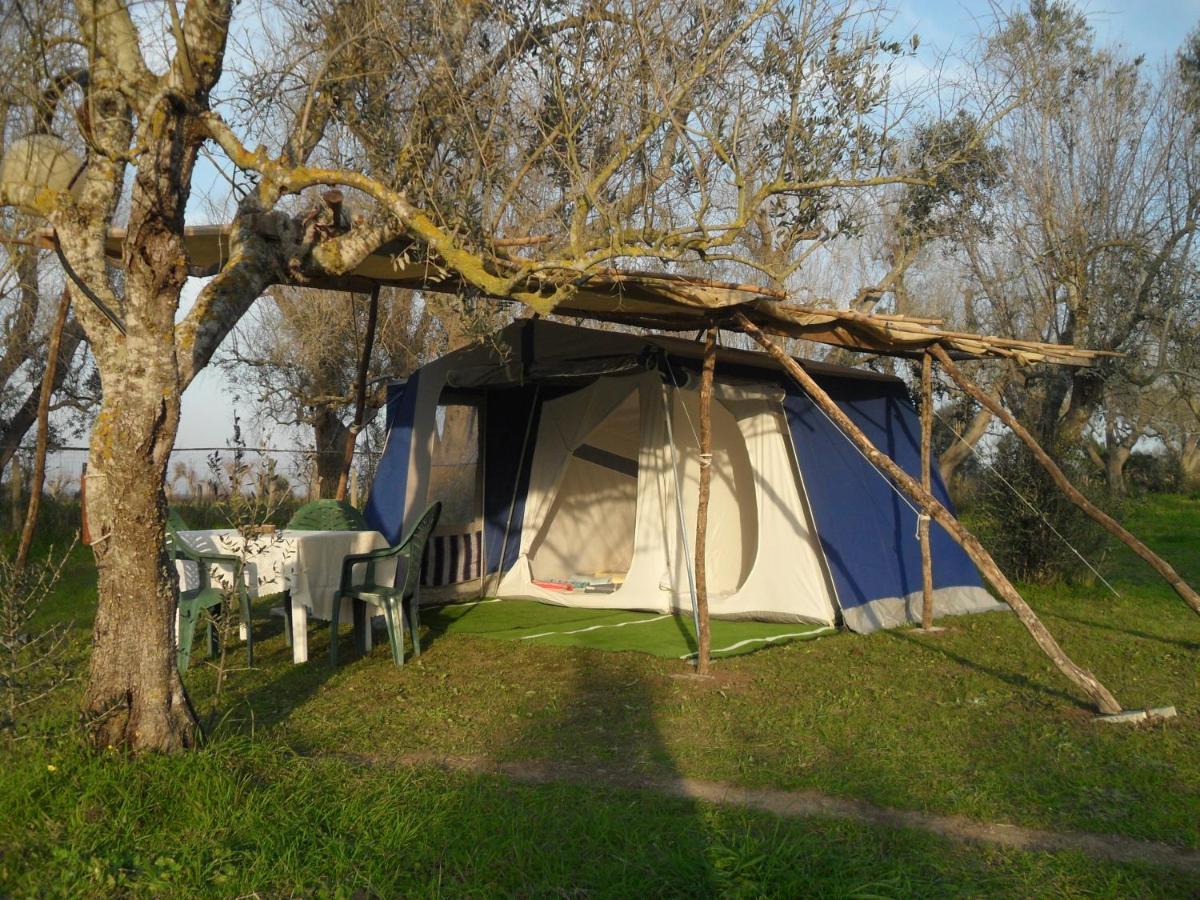Camping Terreno-Ro-Bi-Li Hotel Cutrofiano Exterior photo